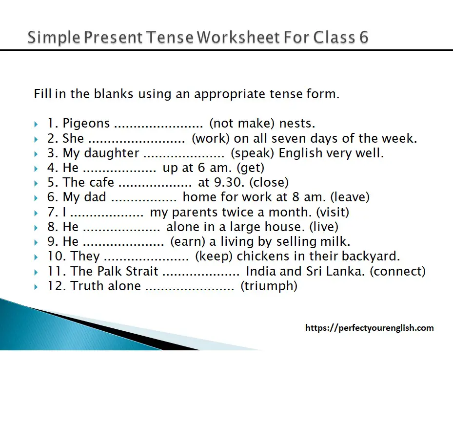 simple present tense worksheet for class 6