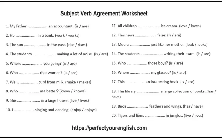 subject verb agreement worksheet for class 3